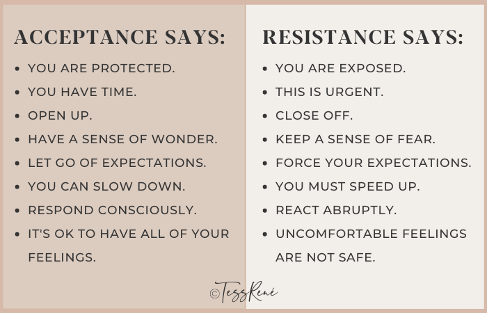 acceptance versus resistance practising patience Tess Rene Schultz Quotes