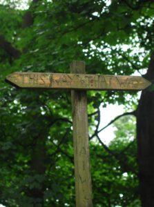 Wooden signpost showing two directions, symbolising how core beliefs pull us in different ways, in article by Tess René Coaching.