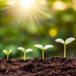 Plant sprouting in hands or lifting a weight, symbolising self-trust strengthening over time. For article on self-trust by Tess Rene Coaching.