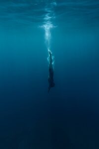 freedom, person diving into water