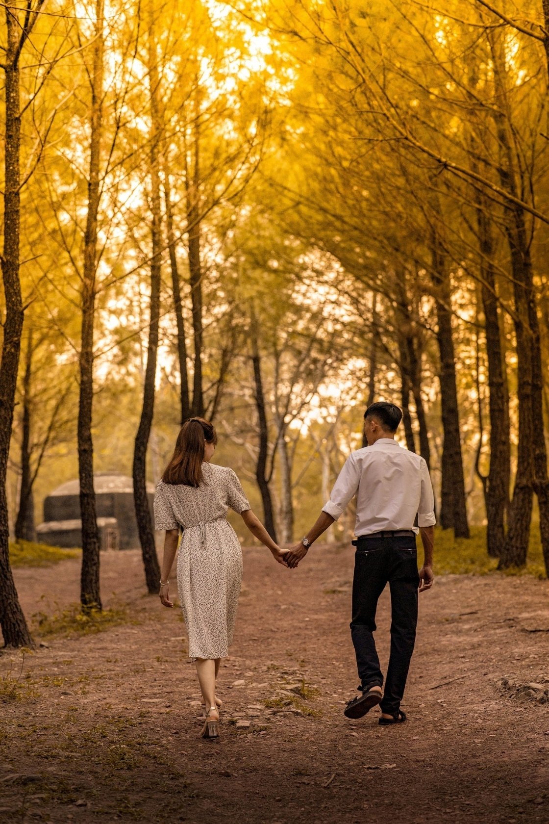 Couple walking hand in hand along a sunlit forest path, from an article about nervous system healing that tames fear of abandonment by Tess Rene Coaching.