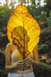 Ego hiding true self behind a leaf in an article by Tess René Coaching