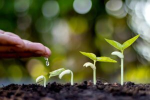 Practical ways to build self worth like nurturing seedlings in an article by Tess René Coaching