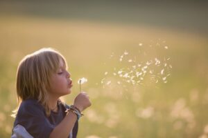 boy blowing dandelion seeds in a field symbolising letting go of coping strategies in Tess René Coaching article