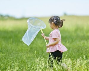 Child running with a net in a field, symbolising small brave expansions in a Tess Renè Coaching article.