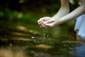 hands holding water symbolising rebuilding self trust beyond control in this Tess René Coaching article