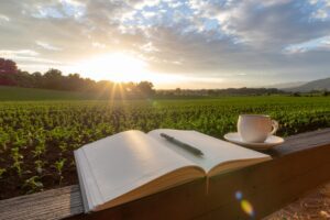 journal and coffee during peaceful morning reflection about finding joy – Tess René Coaching