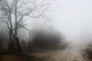 foggy path with bare trees and a cross beside the road fading into mist in this Tess René Coaching article about letting go of the past